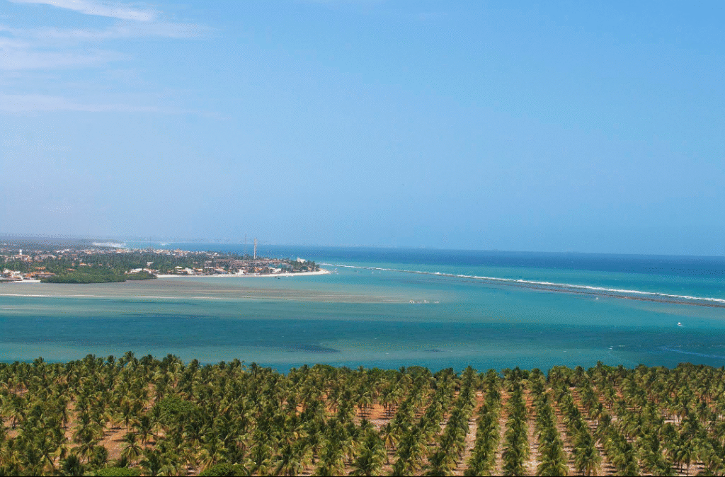 Foto: Barra de São Miguel & Praia do Gunga por Otávio Nogueira, licenciada sob CC BY 2.0